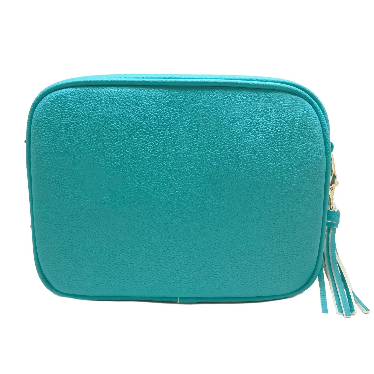 Caribbean blue zippered camera bag with matching tassel,  zipper pull
