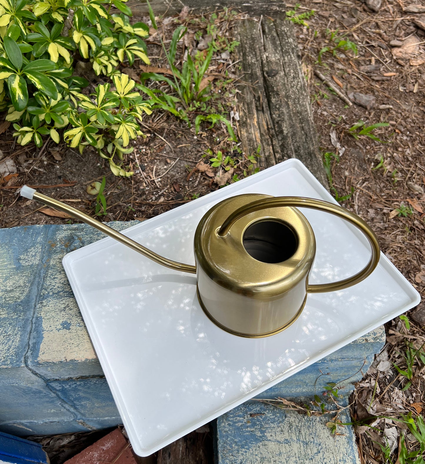 Watering Can